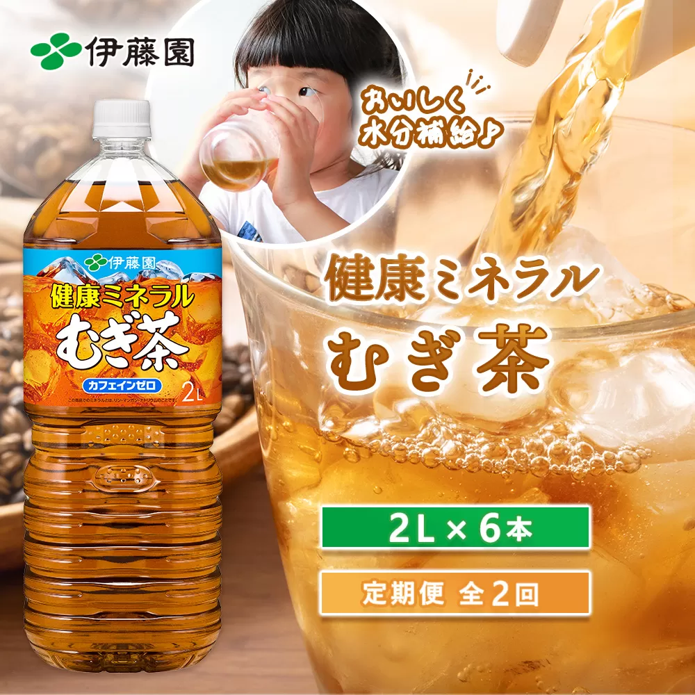 『定期便：全2回』健康ミネラルむぎ茶2L×6本【500008】