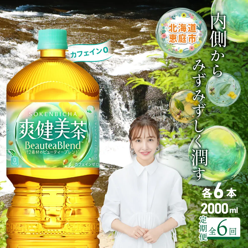 『定期便：全6回』爽健美茶2000mlPET×6本【38000902】