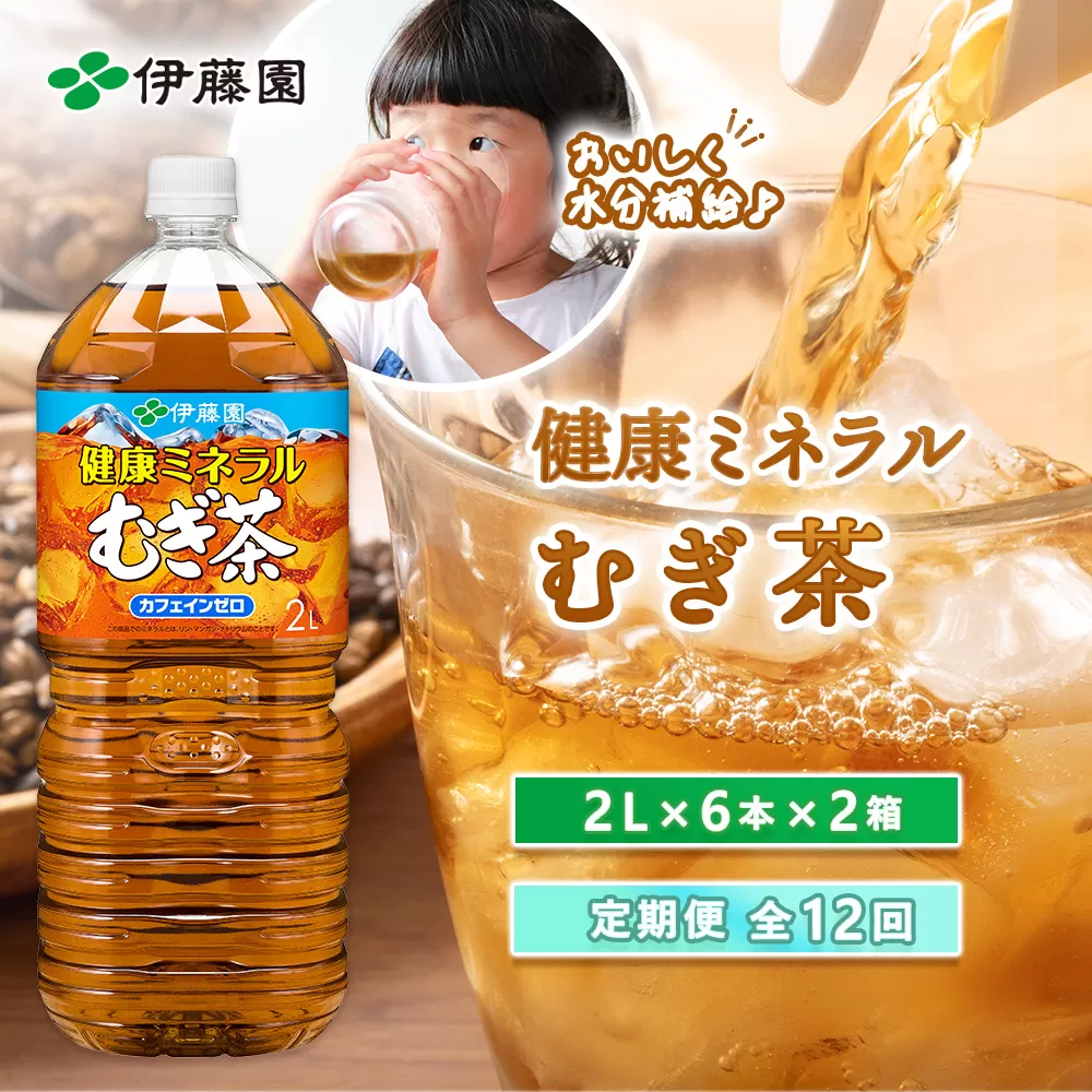 『定期便：全12回』健康ミネラル麦茶2L×6本×2箱【500024】