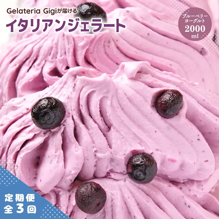 【定期便：全3回】ジェラテリアGigiのイタリアンジェラート『ブルーベリーヨーグルト』2000ml【43005802】