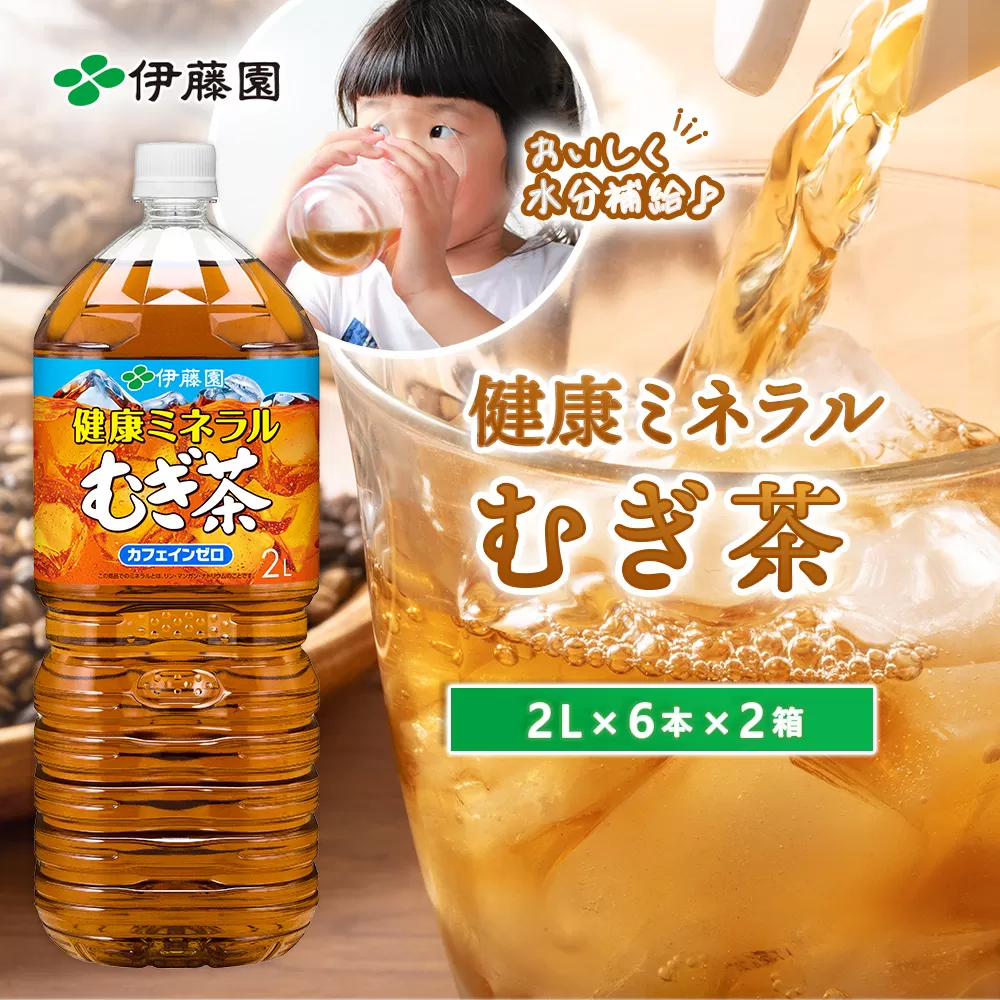 健康ミネラル麦茶2L×6本×2箱【500004】