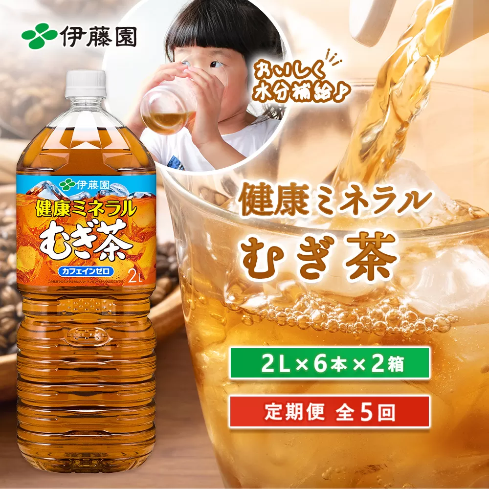 『定期便：全5回』健康ミネラルむぎ茶2L×6本×2箱【500018】