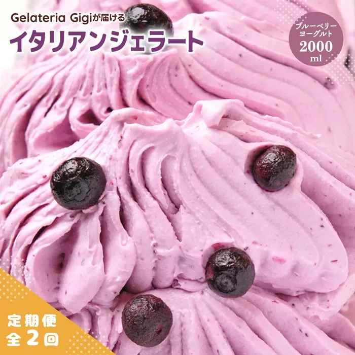 【定期便：全2回】ジェラテリアGigiのイタリアンジェラート『ブルーベリーヨーグルト』2000ml【43005702】