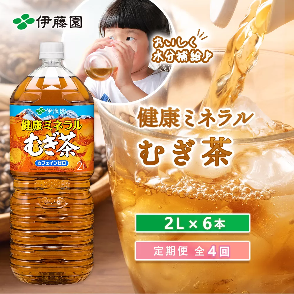 『定期便：全4回』健康ミネラルむぎ茶2L×6本【500009】