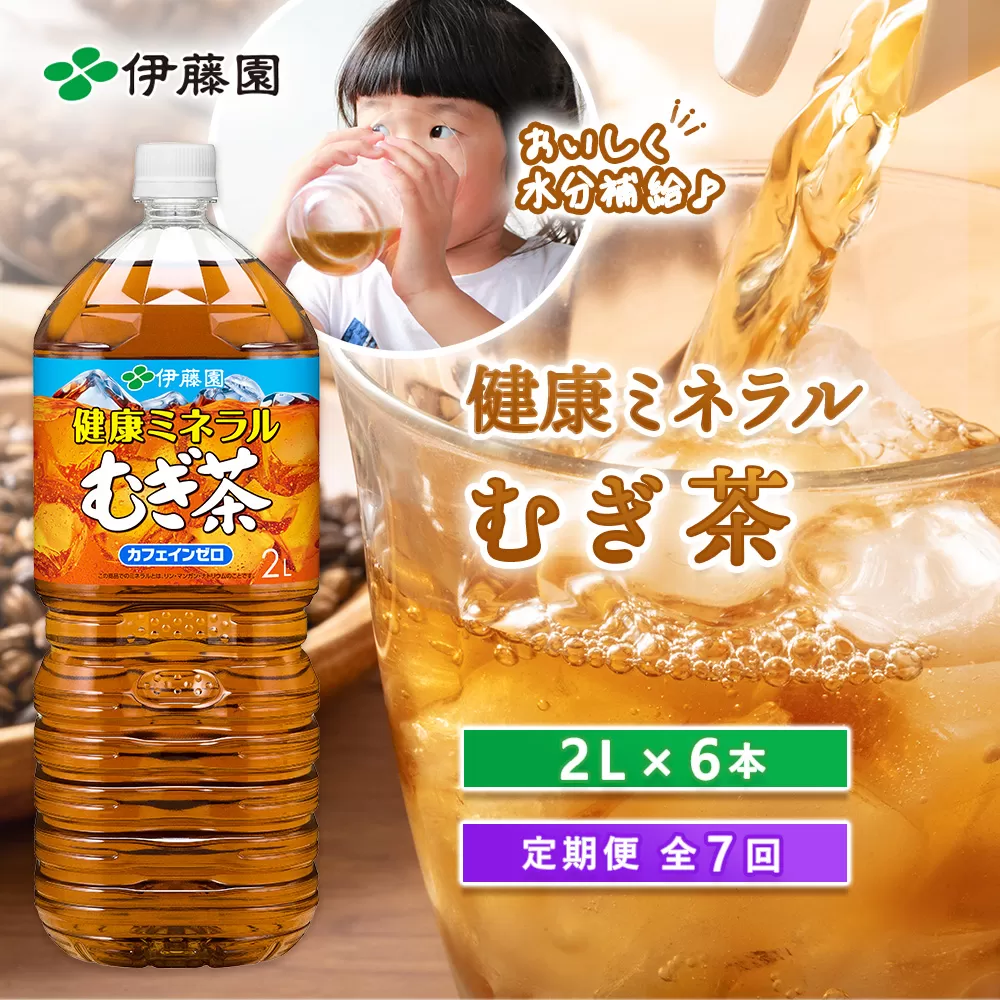 『定期便：全7回』健康ミネラルむぎ茶2L×6本【500011】