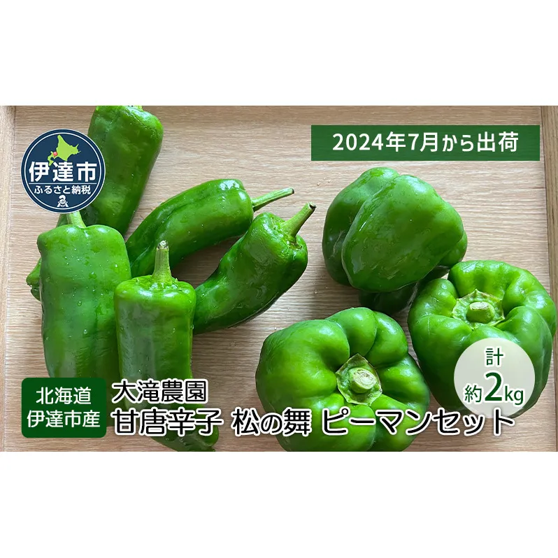 北海道 伊達 大滝農園 甘唐辛子「松の舞」 ピーマン セット 計約2kg 野菜
