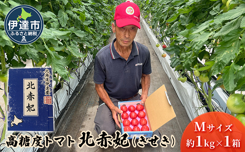 2025年 発送 】 先行予約 北海道 伊達市 高糖度 トマト 北赤妃 きせき 