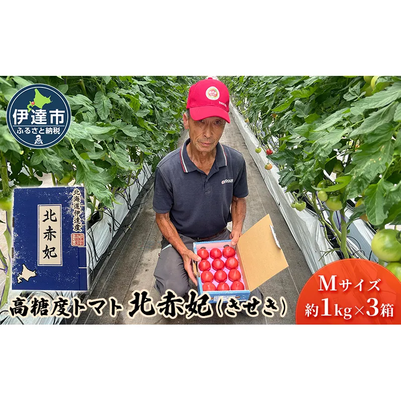 北海道伊達市 高糖度 トマト 北赤妃 きせき 約1kg  3箱 Mサイズ 計3kg