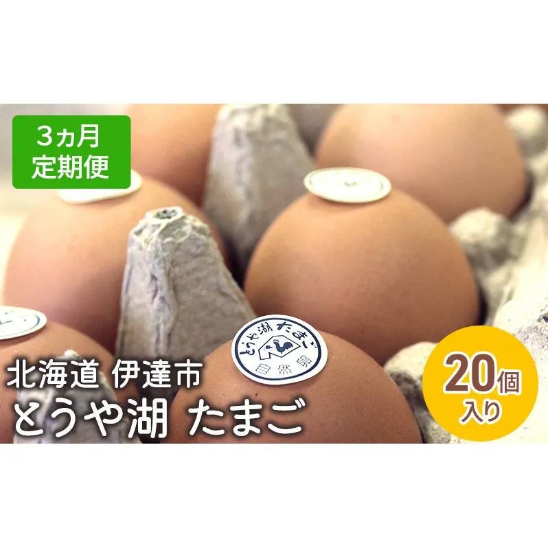 【3ヵ月 定期便】 北海道 伊達市 とうや 卵  20個 入り たまご