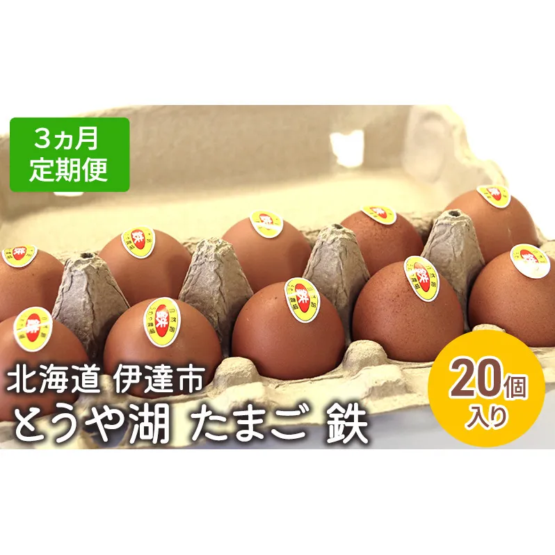 【3ヵ月 定期便】 北海道 伊達市 とうや 卵 鉄  20個 入り たまご