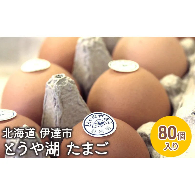 北海道 伊達市 とうや 卵  80個 入り たまご