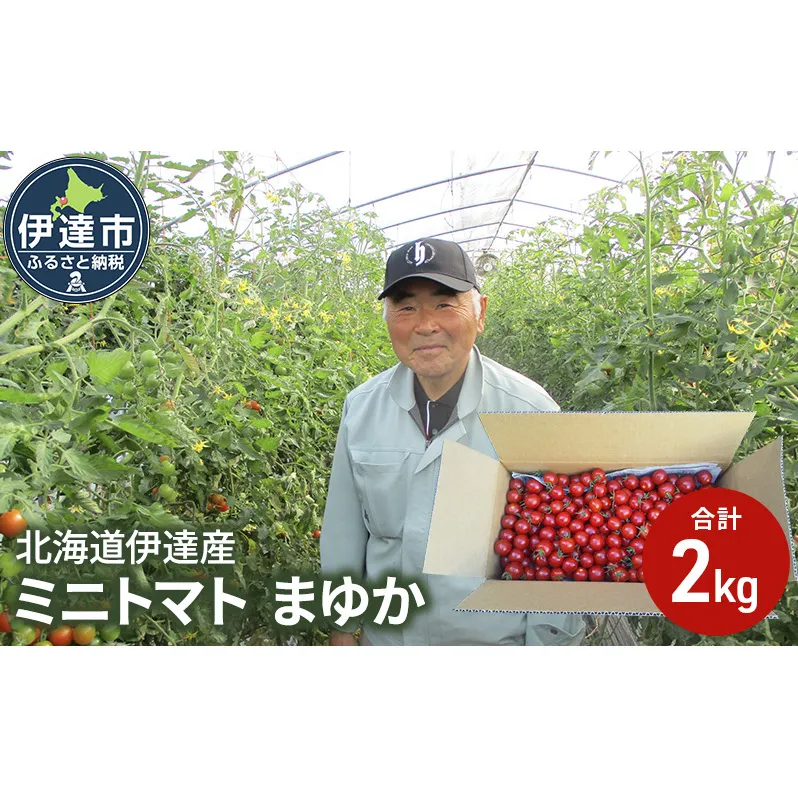 北海道伊達産 ミニトマト まゆか 2kg とまと 甘い