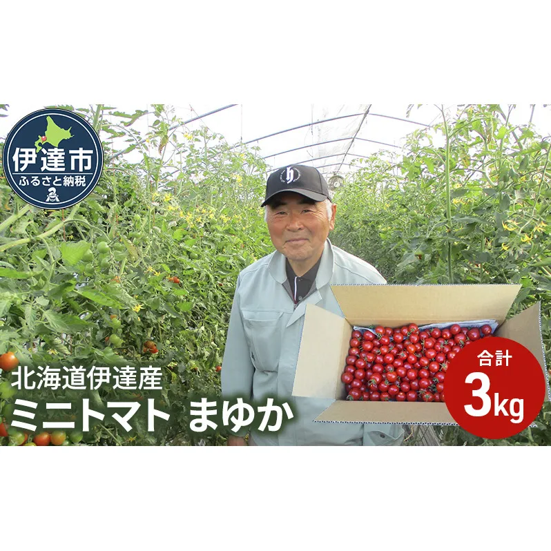 北海道伊達産 ミニトマト まゆか 3kg とまと 甘い