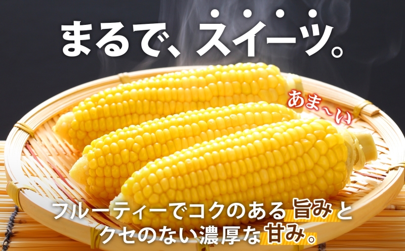 先行予約 【 2025年 発送 】北海道 朝もぎ とうもろこし 恵味 ゴールド L-LLサイズ 10本 スイート コーン トウモロコシ とうきび 旬 完熟 野菜 採れたて 朝採り 甘い めぐみ 産地直送 道産 送料無料|伊達市|北海道|返礼品をさがす|まいふる by AEON CARD 先行予約 【 2025年 発送 】北海道 朝もぎ とうもろこし 恵味 ゴールド L-LLサイズ 10本 スイート コーン トウモロコシ とうきび 旬 完熟 野菜 採れたて 朝採り 甘い めぐみ 産地直送 道産 送料無料|伊達市|北海道|返礼品をさがす|まいふる by AEON CARD