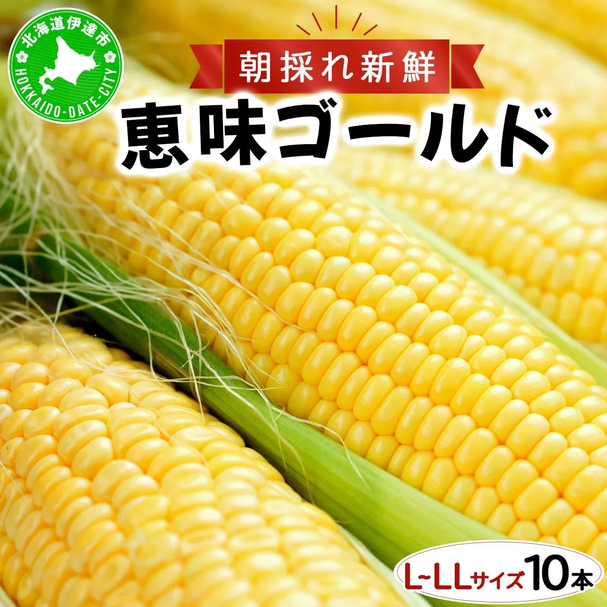 先行予約 【 2025年 発送 】北海道 朝もぎ とうもろこし 恵味 ゴールド L-LLサイズ 10本 スイート コーン トウモロコシ とうきび 旬 完熟 野菜 採れたて 朝採り 甘い めぐみ 産地直送 道産 送料無料