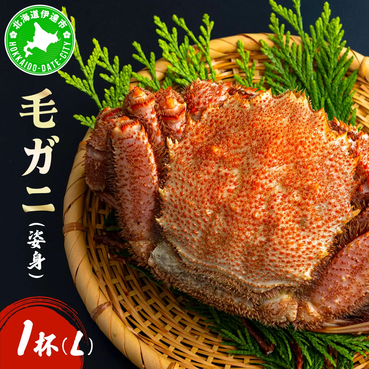 毛ガニ（姿身）Lサイズ 1尾 ogm-017