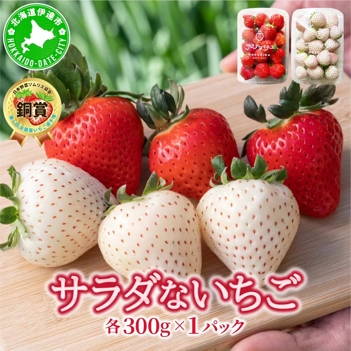 ＜2026年先行予約＞ サラダないちご（赤・白）【ecg-003】