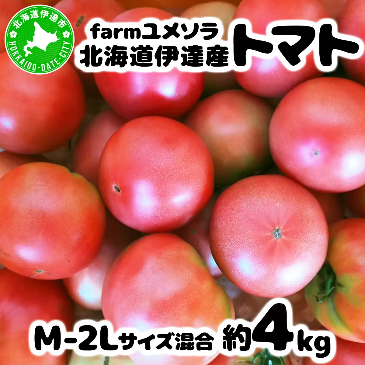 ◆2026年7月から順次出荷◆ farmユメソラ 大玉 トマト 約4kg【famy-001】