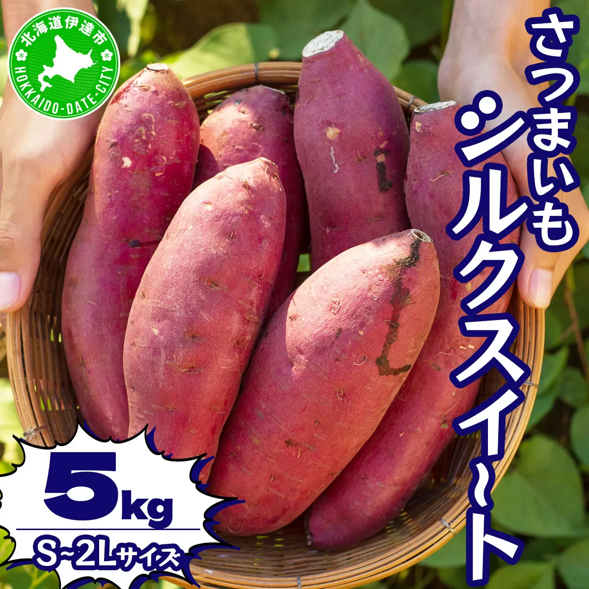 北海道 伊達 さつまいも シルクスイート 5kg 熟成 高糖度 サツマイモ 芋 甘い スイートヤバ芋 産地直送