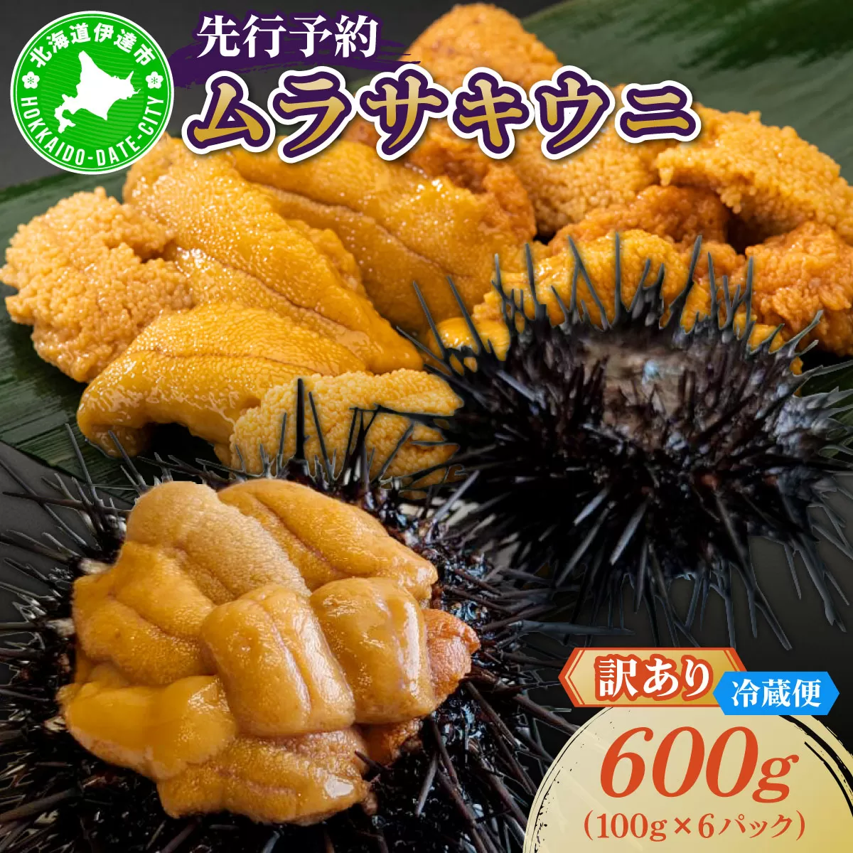 ＜先行予約＞ 北海道産 ムラサキウニ（訳あり）600g【ogm-044】生うに 塩水うに ミョウバン不使用 海鮮 訳あり 国産 北海道 伊達 ふるさと納税
