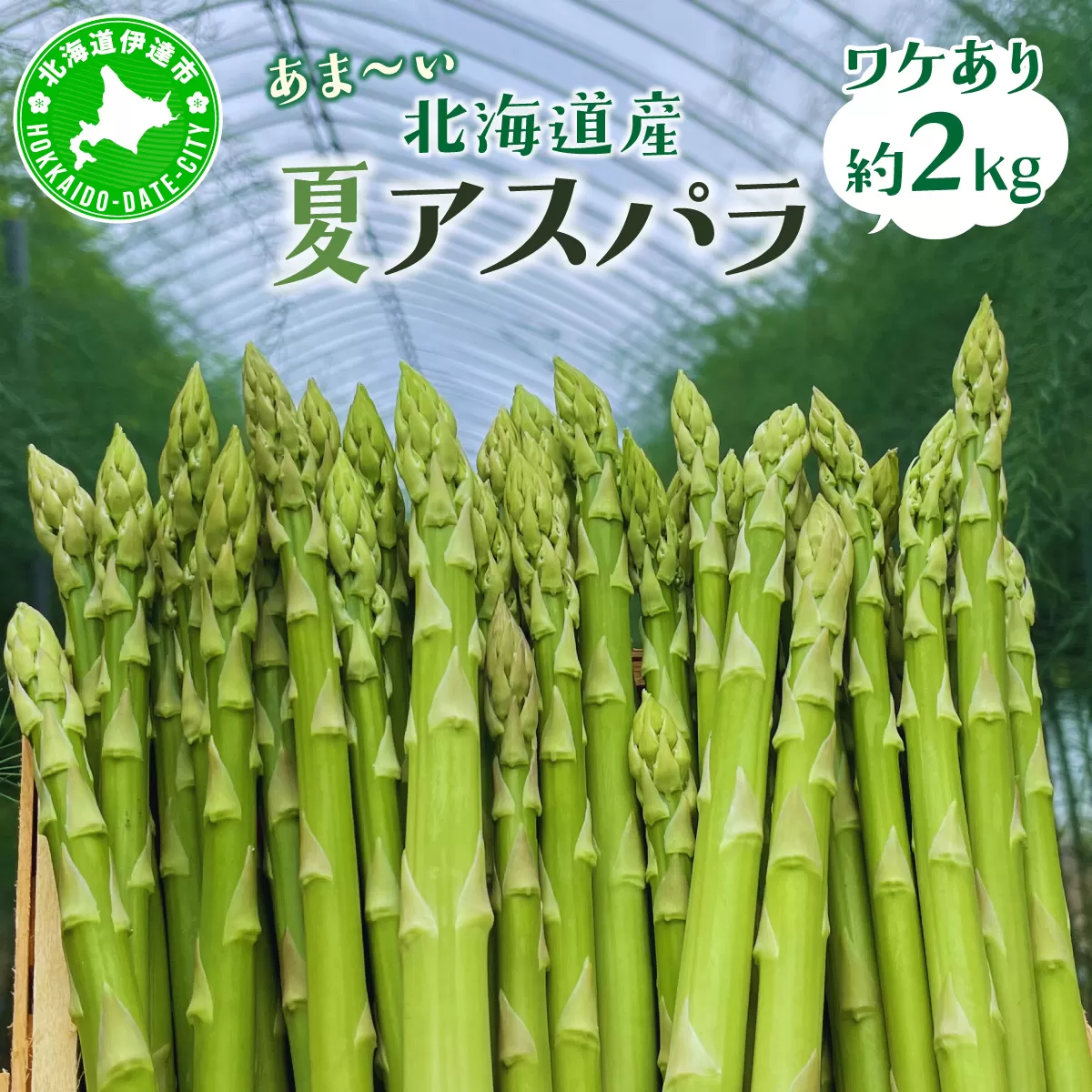 ＜先行予約＞【訳あり品】あまーい！北海道産夏アスパラ 2kg【ffk-007】北海道 伊達市 野菜 新鮮 アスパラガス ふるさと納税 送料無料