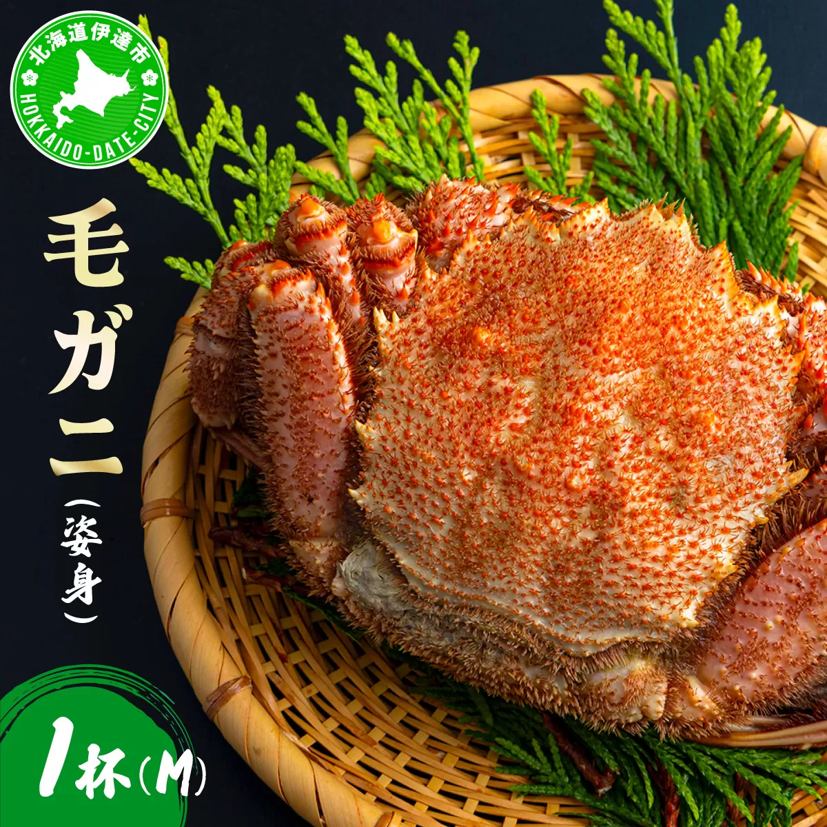 毛ガニ（姿身）Mサイズ 1尾 ogm-015