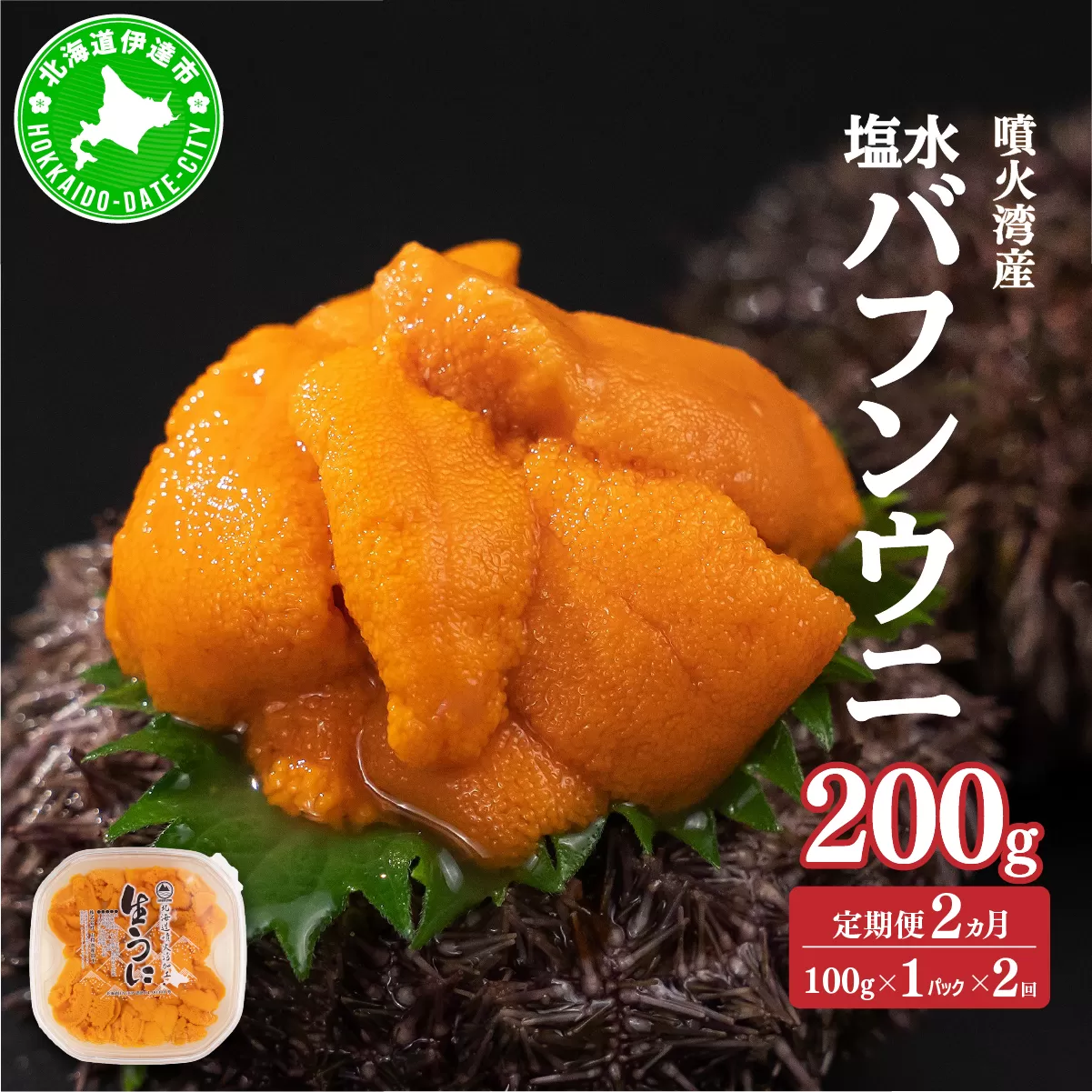 【定期便2カ月】北海道 噴火湾産 塩水 バフンウニ 100g 1パック うに ウニ 雲丹 海鮮 海の幸 魚介類 ウニ丼 お寿司 濃厚 無添加 産地直送 産直 お取り寄せ 山村水産 送料無料