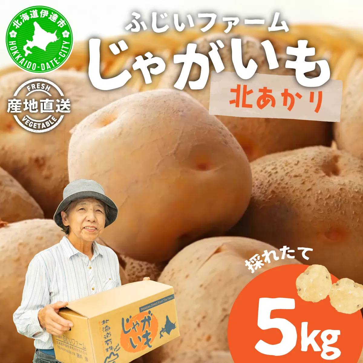 北海道産 じゃがいも 北あかり 約5kg  ジャガイモ 馬鈴薯 ポテト 芋 イモ きたあかり キタアカリ 栗じゃがいも 先行受付 産地直送 野菜 農作物 ホクホク じゃがバター コロッケ 人気 ふじいファーム  送料無料