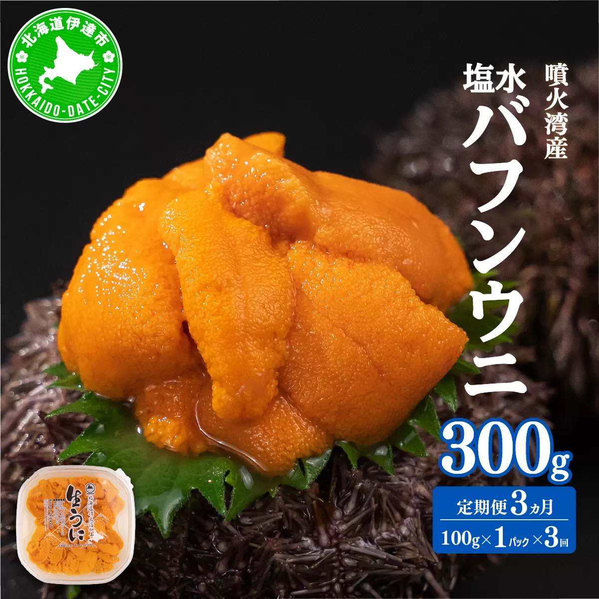 【定期便3カ月】北海道 噴火湾産 塩水 バフンウニ 100g 1パック うに ウニ 雲丹 海鮮 海の幸 魚介類 ウニ丼 お寿司 濃厚 無添加 産地直送 産直 お取り寄せ 山村水産 送料無料