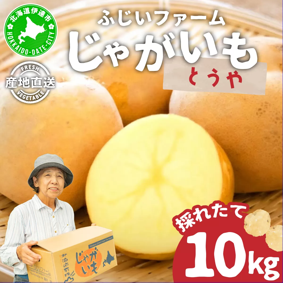 ＜先行予約＞北海道産 じゃがいも(とうや) 約10kg | ジャガイモ 馬鈴薯 ポテト 芋 イモ 国産 野菜 人気 ふじいファーム