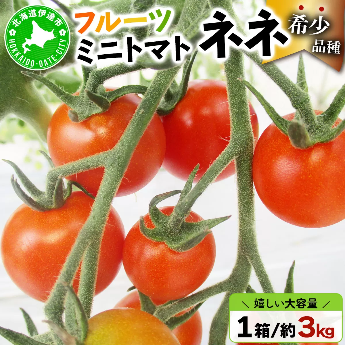  北海道産 ミニトマト ネネ 約3kg フルーツトマト 幻の 高糖度 ジューシー プチ トマト 甘い 濃厚 彩り 鮮やか 希少 お中元 お歳暮 暑中見舞い 帰省土産 ご自宅用 産地直送 大滝農園 送料無料 北海道 