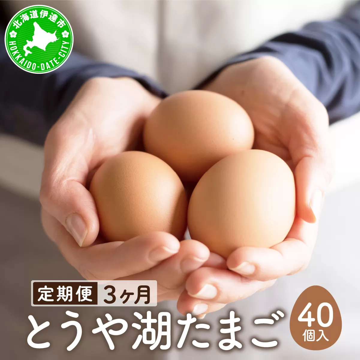 【3ヵ月 定期便】 北海道 伊達市 とうや湖 卵  40個 入り たまご