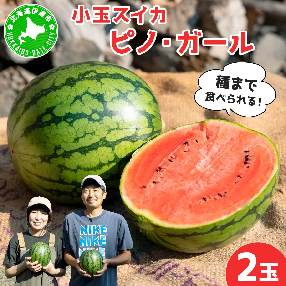 ＜先行予約＞北海道伊達産 小玉スイカ "ピノ・ガール" 【tom-001】