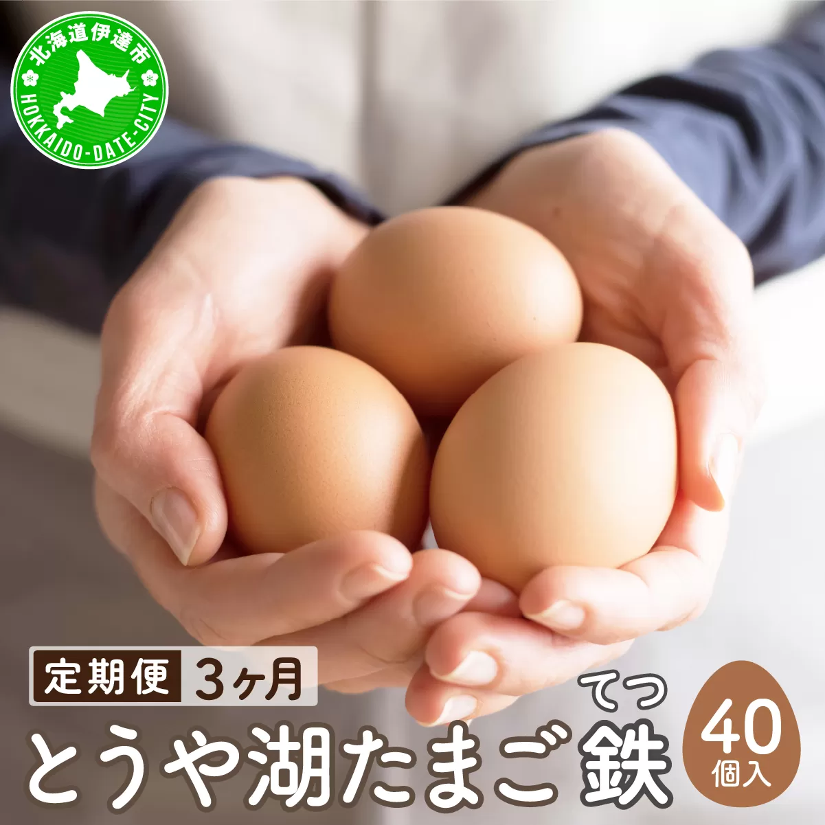 【3ヵ月 定期便】 北海道 伊達市 とうや湖 卵 鉄  40個 入り たまご