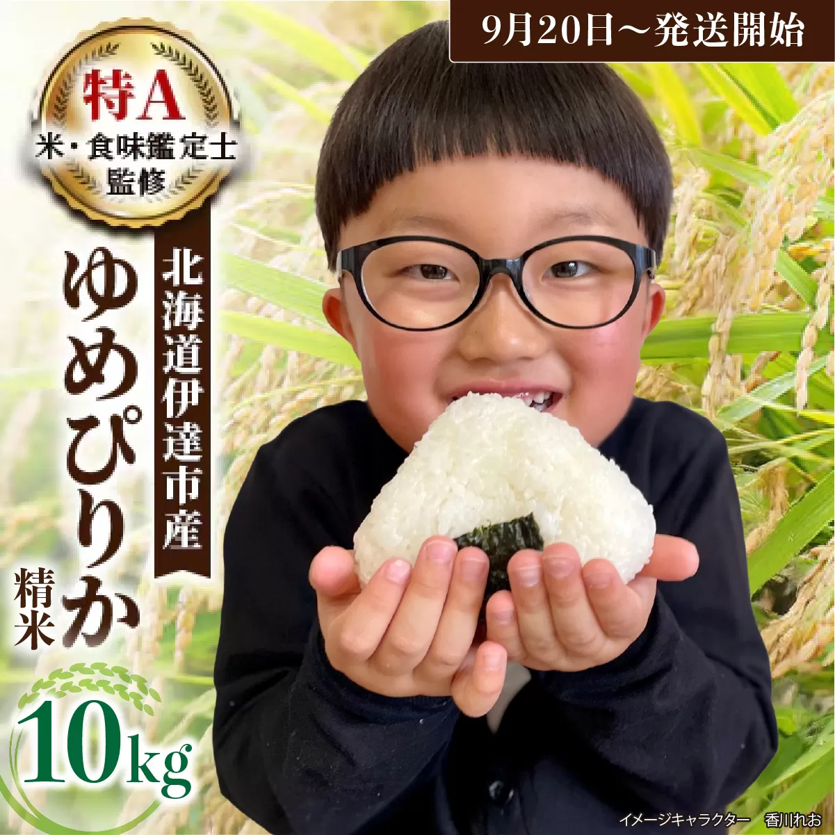 令和7年産 《9月20日発送開始》ゆめぴりか精米 10kg 生産者直送 北海道伊達産 | 北海道のブランド米 もっちり食感 冷めても美味しい