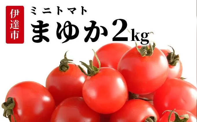 北海道伊達産 ミニトマト まゆか 2kg とまと 甘い 野菜 やさい 人気 新鮮 産地直送 農家直送 先行受付