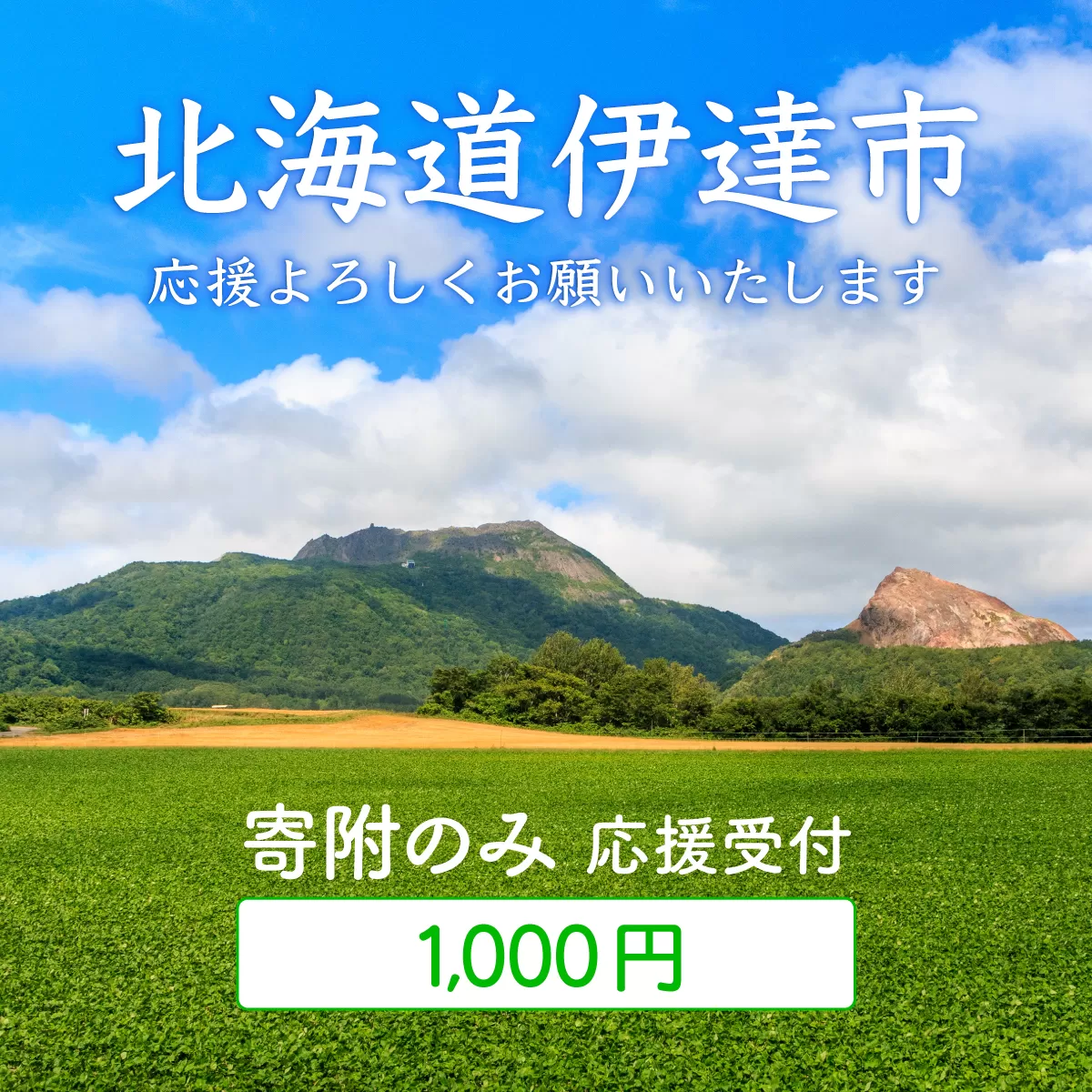 伊達市 寄附のみ 応援受付 1,000円コース（返礼品なし 寄附のみ 1000円）