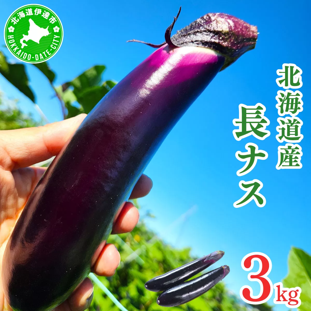 ＜先行予約＞北海道伊達産 長ナス 3kg 詰め [2026年発送]【ogr-001】