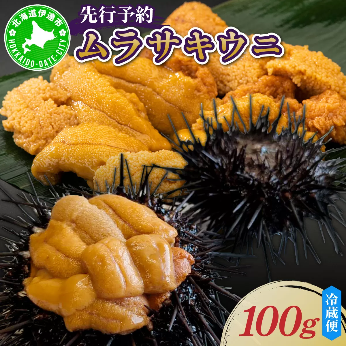 ＜先行予約＞ 北海道産 ムラサキウニ（正規品）【ogm-027】うに 海鮮 国産 北海道 伊達 ふるさと納税