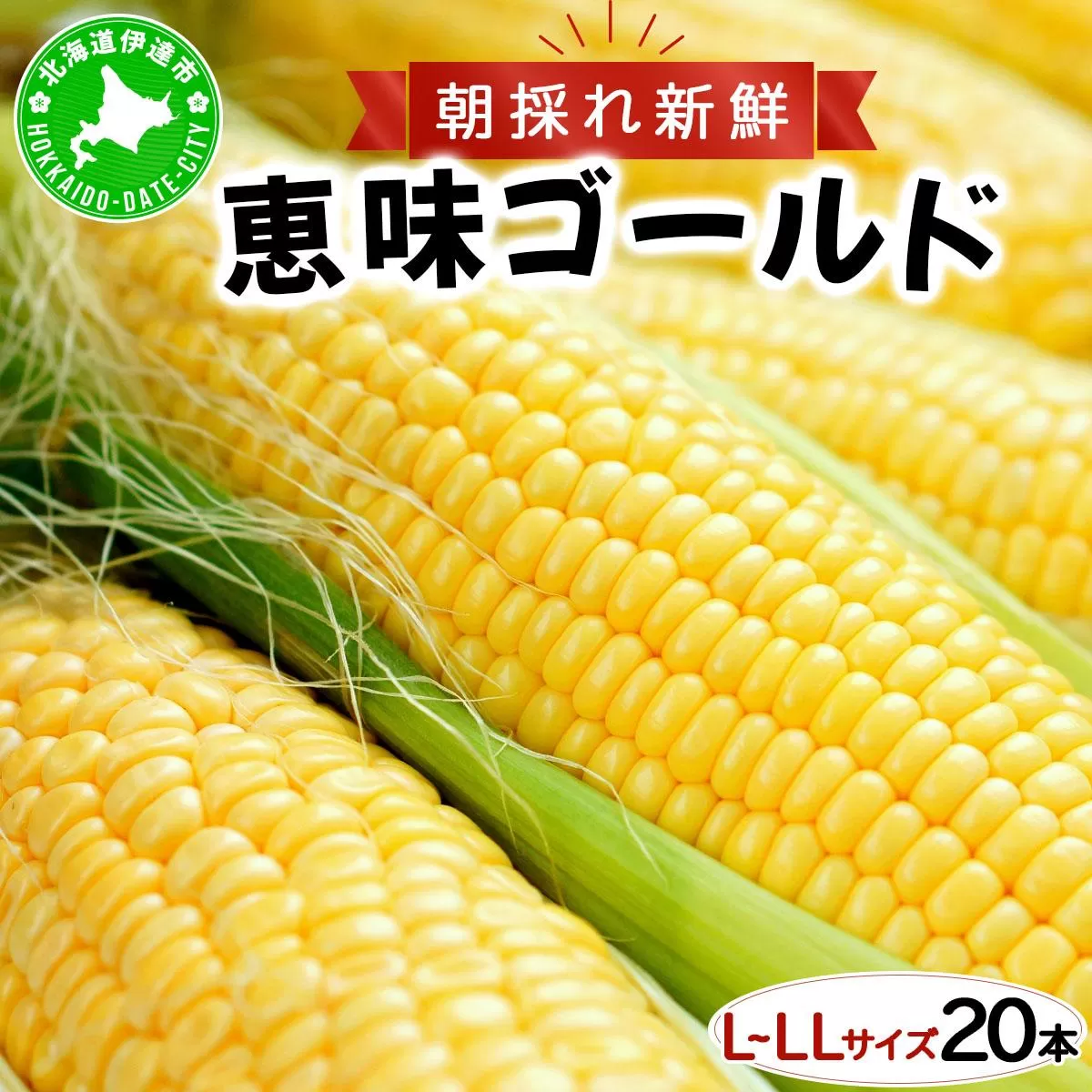 先行予約 【 2025年 発送 】北海道 朝もぎ とうもろこし 恵味 ゴールド L-LLサイズ 20本 スイート コーン トウモロコシ とうきび 旬 完熟 野菜 採れたて 朝採り 甘い めぐみ 産地直送 道産 送料無料