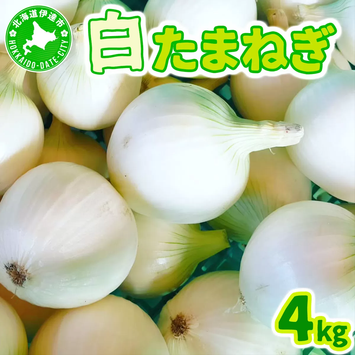 【2026年6月中旬発送】白玉ねぎ 4kg 北海道 伊達産 タマネギ 玉葱 サラダ [famy-002]