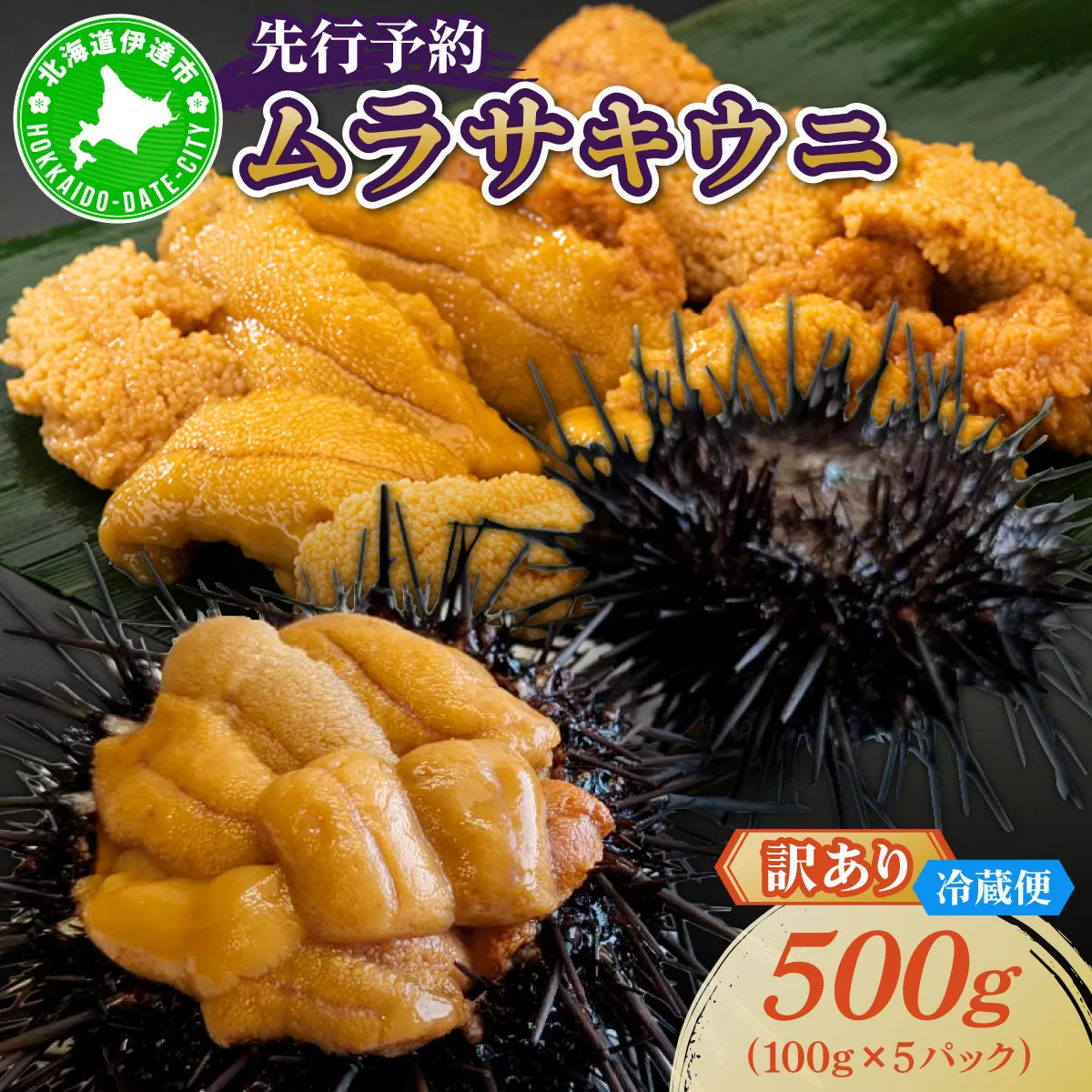 ＜先行予約＞ 北海道産 ムラサキウニ（訳あり）500g【ogm-043】生うに 塩水うに ミョウバン不使用 海鮮 訳あり 国産 北海道 伊達 ふるさと納税