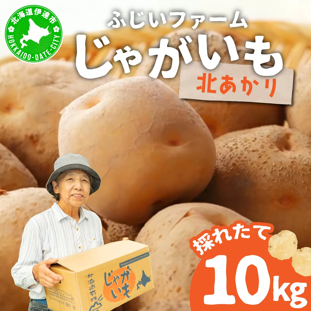 ＜先行予約＞北海道産 じゃがいも(北あかり) 約10kg | ジャガイモ 馬鈴薯 ポテト 芋 イモ きたあかり キタアカリ 野菜 人気 ふじいファーム