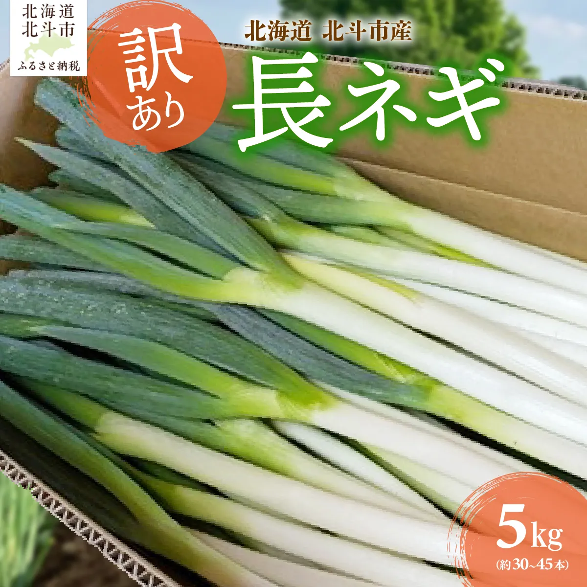 北海道産 長ネギ 訳あり 5kg（約30～45本） HOKBC009