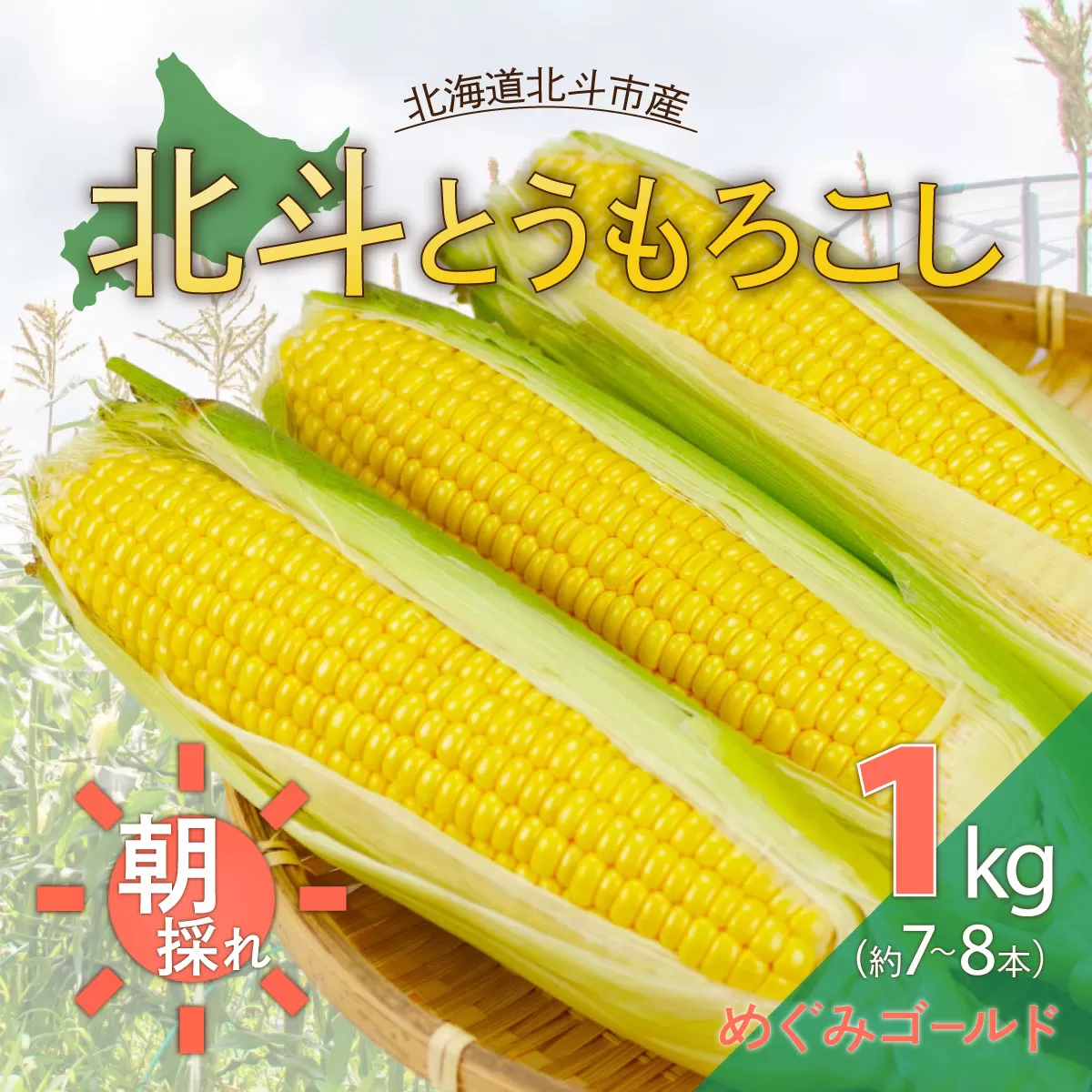 【先行受付】北斗とうもろこし 1kg (2026年8月より順次発送) HOKY003