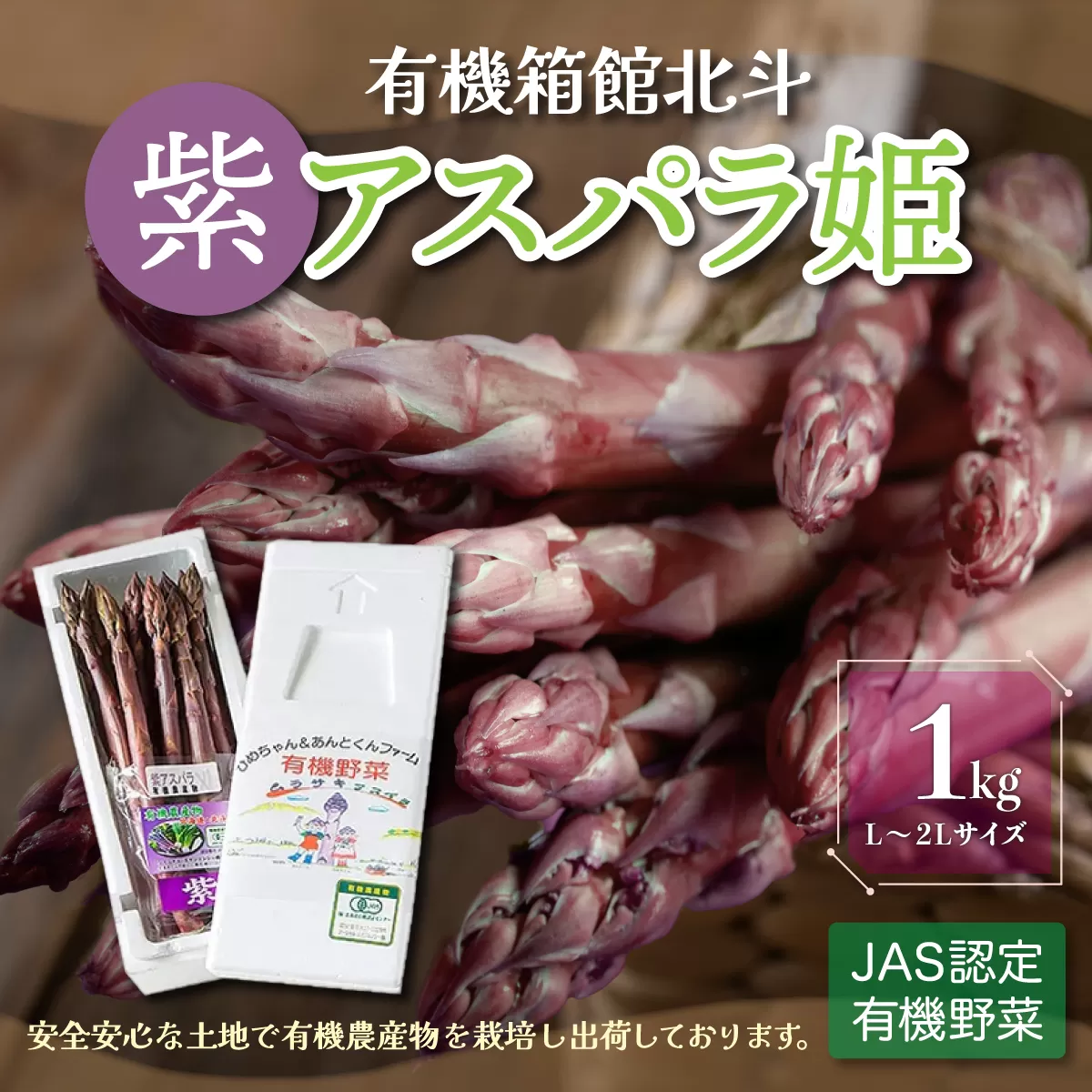 有機箱館北斗紫アスパラ姫 1kg L〜2L HOKB008