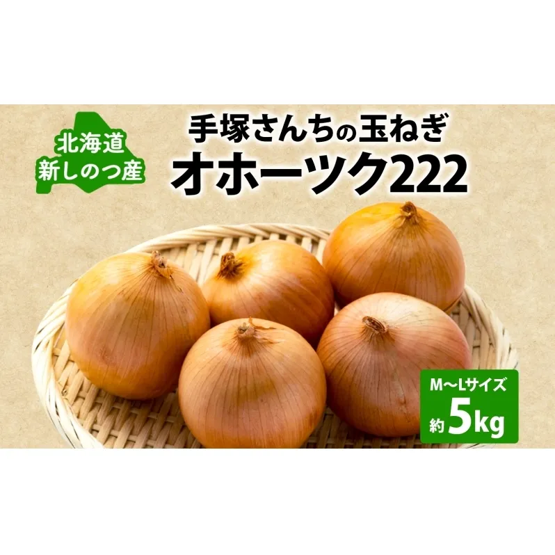 北海道 新しのつ産 手塚さんちのたまねぎ M～Lサイズ 約5kg オホーツク222 玉ねぎ 玉葱 タマネギ オニオン スライス 旬 農作物 野菜 サラダ みずみずしい シャキシャキ 甘い 北海道産 産直 長期保存 送料無料
