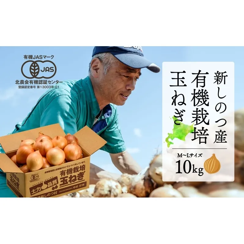 北海道 新しのつ産 有機栽培 玉ねぎ M-L サイズ混合 約10kg 玉葱 タマネギ オーガニック 有機野菜 有機JAS 旬 農作物 国産 カレー 肉じゃが つちから農場 送料無料 自家製 堆肥 魚かす 米ぬか もみがら 発酵 自然 