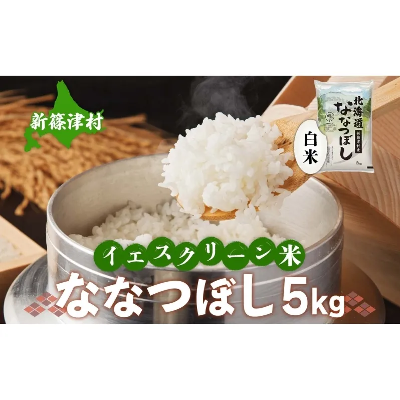 北海道 イエスクリーン米 令和7年産 ななつぼし 5kg 精米 米 白米 お米  ごはん ご飯 ライス 道産米 ブランド米 新しのつ米 ふっくら 食味ランキング  産地直送 カワサキ森田屋 送料無料