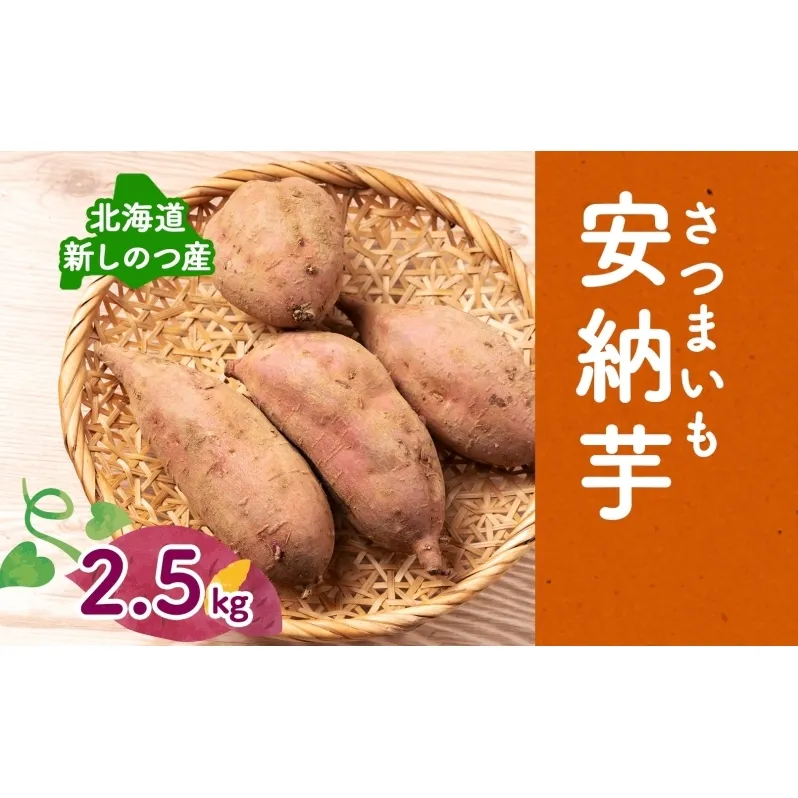 [オンライン決済限定]野菜 新しのつ産 さつまいも(安納芋2.5kg) サツマイモ 芋 イモ 甘い 北海道